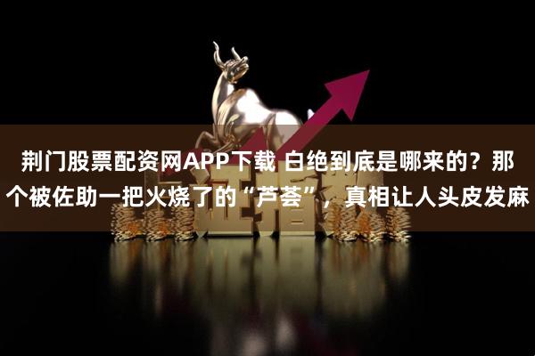 荆门股票配资网APP下载 白绝到底是哪来的？那个被佐助一把火烧了的“芦荟”，真相让人头皮发麻