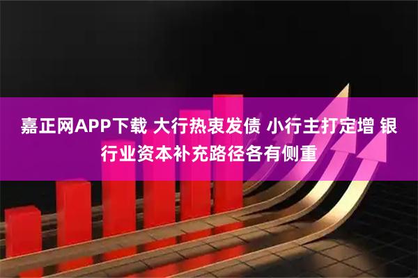 嘉正网APP下载 大行热衷发债 小行主打定增 银行业资本补充路径各有侧重